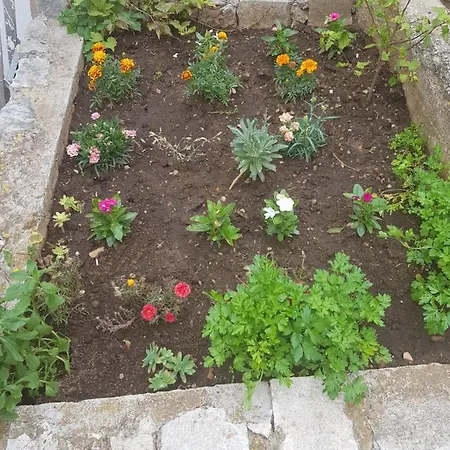 Sobe Mate Jareb Tribunj (Sibenik-Knin)